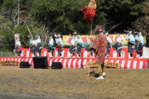 コスモス祭り 鹿児島