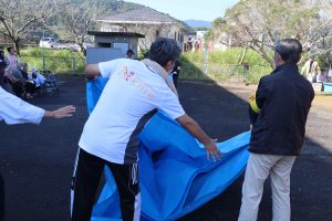 コスモス祭り 鹿児島
