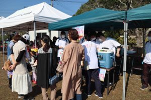 コスモス祭り 鹿児島