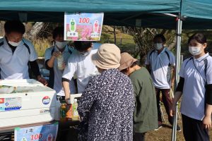 コスモス祭り 鹿児島