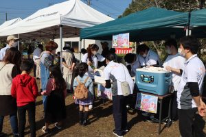 コスモス祭り 鹿児島
