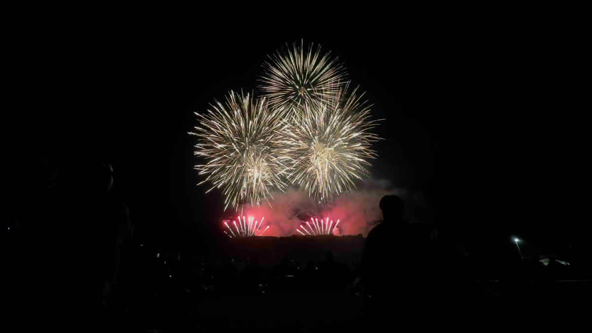第39回喜入夏まつりのフィナーレで、喜入の夜空に大きく広がる金色の花火と、会場から見上げる観客のシルエット