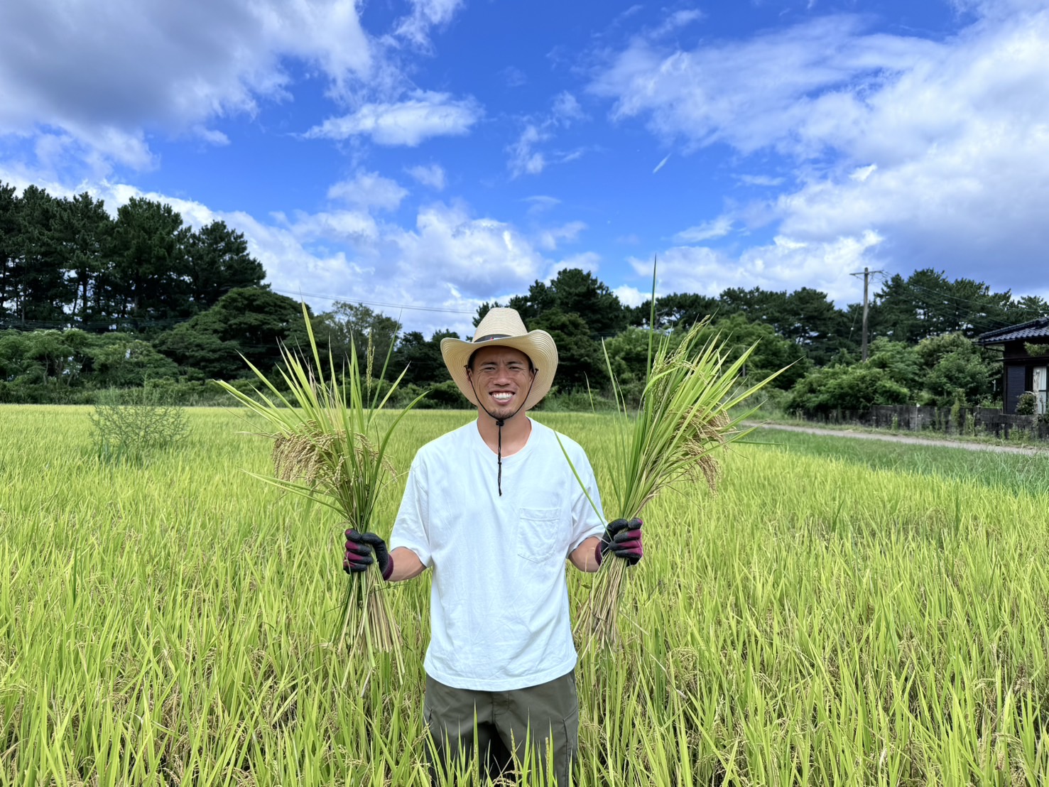 稲穂が実る田んぼで、鹿児島ユナイテッドFCの稲葉修土選手が両手に稲束を持つ様子